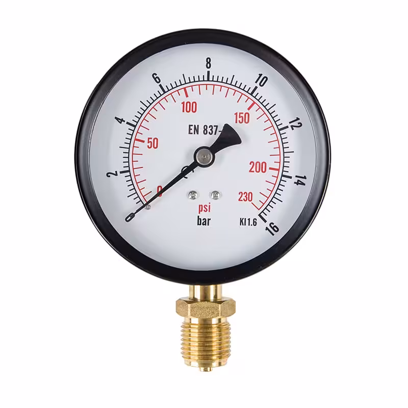 گیج فشار صفحه 10 سانت خشک 16 بار