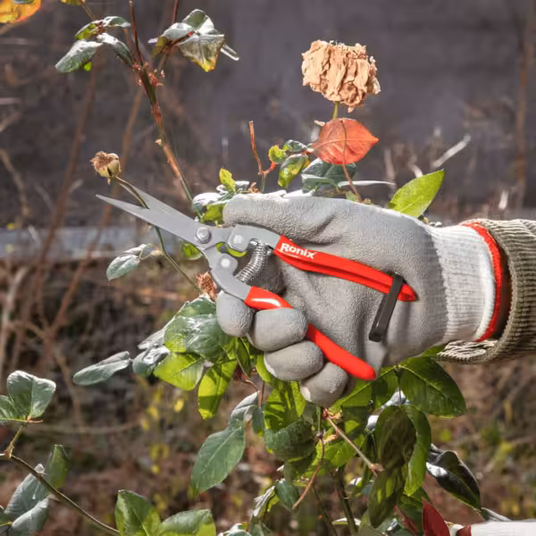 قیچی میوه چین رونیکس کد 3150