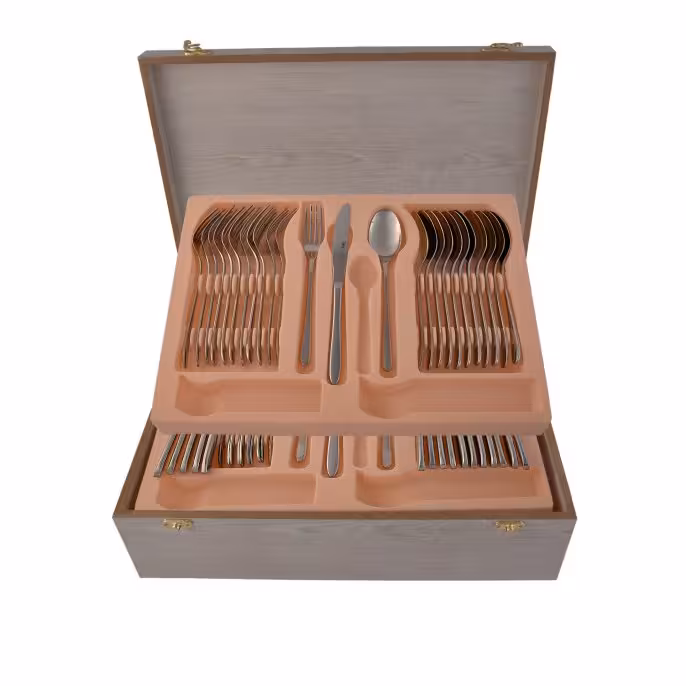 سرویس قاشق و چنگال 54 پارچه ام جی اس مدل DORTMOND(Ch)001