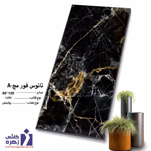 سرامیک تانوس A-فورمچ 120*60 کاشی زهره