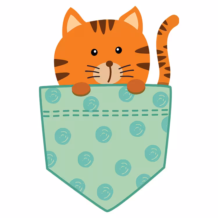 استیکر پارچه و لباس مدل دی تی اف طرح جیبی کد H10.408 مجموعه 5 عددی