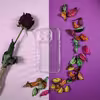 کاور مدل SHF کد 1MS مناسب برای گوشی موبایل اپل Iphone 14 Pro