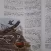 كتاب Bird Habitats and Conservation اثر David Chandler انتشارات Hamlyn