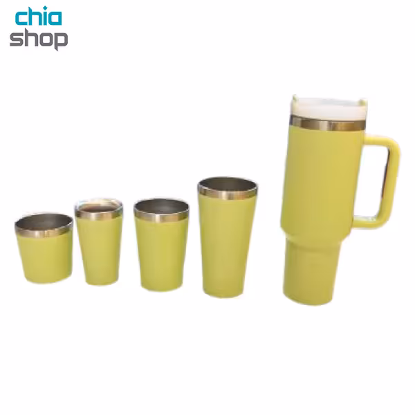 مجموعه 5 عددی ماگ استنلی نی دار Stanley mug 5 pieces (های کپی)