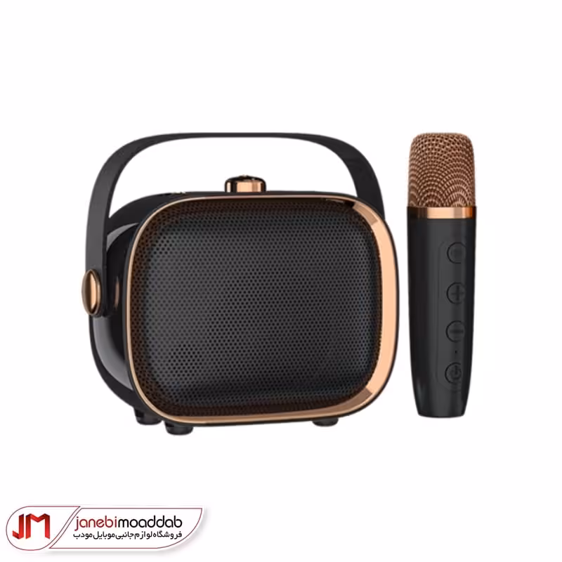 اسپیکر بی سیم NewRixing مدل NR-138