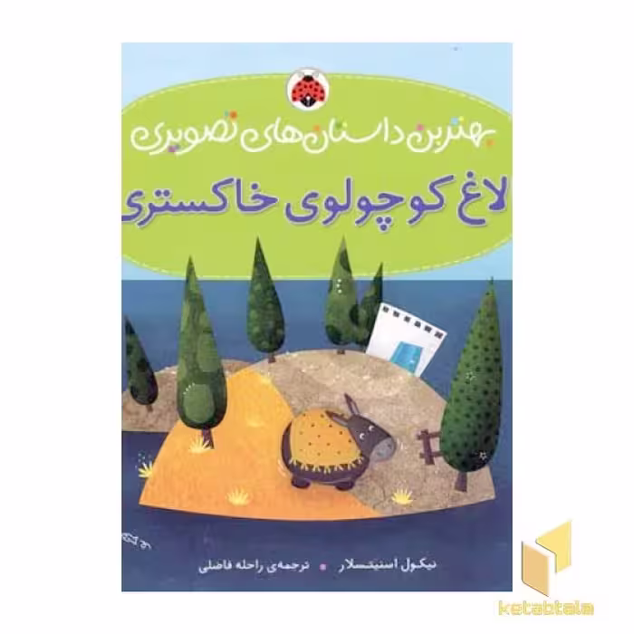 کتاب الاغ کوچولوی خاکستری اثر نیکول اسنیتسلار نشر شهرقلم