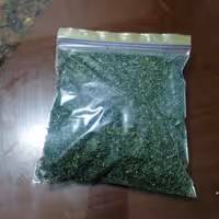 سبزی جعفری خشک شده 50 گرمی