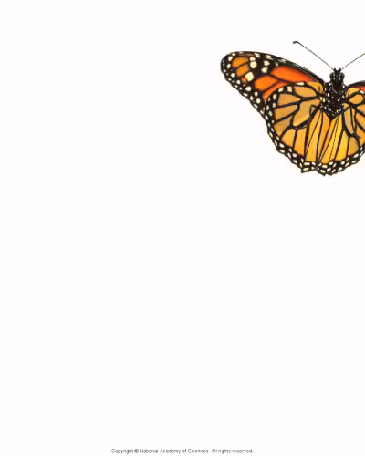 خرید و دانلود نسخه کامل کتاب Science, Evolution, and Creationism