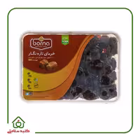 خرمای تازه نگار برنا