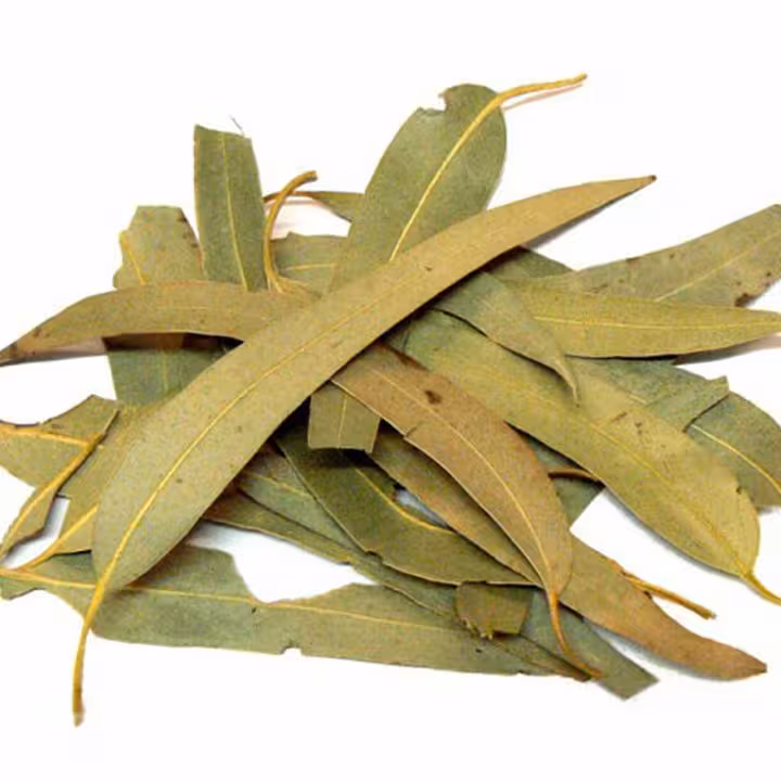 برگ اکالیپتوس ضد عفونی کننده قوی هوا  100 گرمی