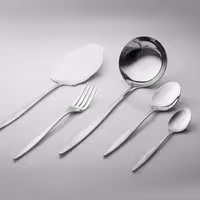 سرویس قاشق و چنگال 20 پارچه هومیت مدل کارن مات