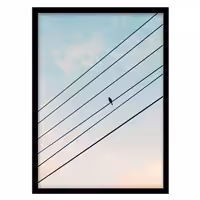 قیمت و خرید تابلو دکوراتیو مدل عکاسی مینیمال پرنده کد 1224