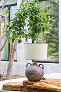 آباژور اردیبهشت