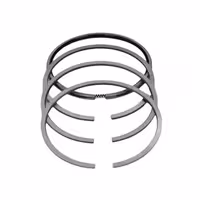 رینگ پیستون بسترن B50