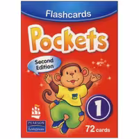 فلش کارت pockets 1