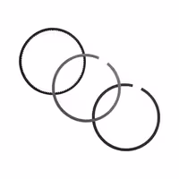 رینگ موتور یوفلکس پژو 405  2000  الدورا کد 87120645