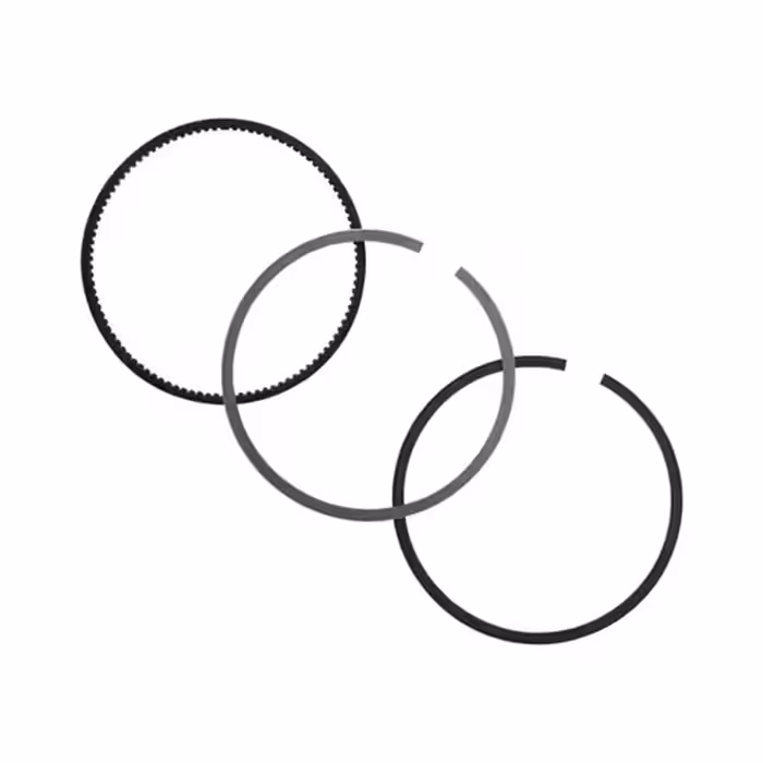 رینگ موتور یوفلکس پژو 405  2000  الدورا کد 87120645