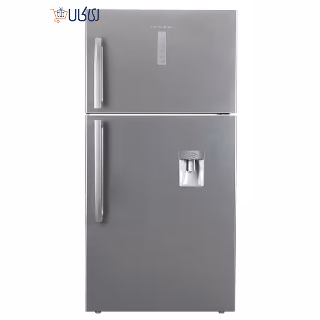 یخچال فریزر پاکشوما 23 فوت نقره ای مدل RTP-670 S