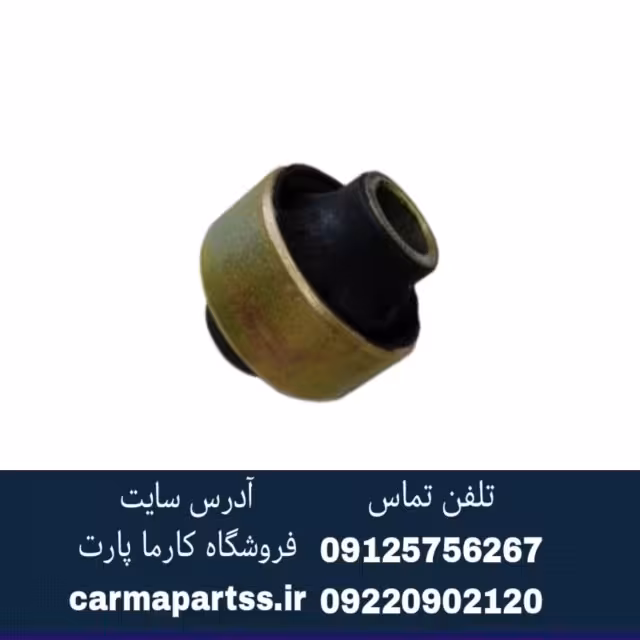 بوش طبق بزرگ شاهین