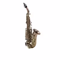 ساکسوفون سوپرانو شاتو CCS-90MVersailles CCS-90 Curved Soprano (Brush)