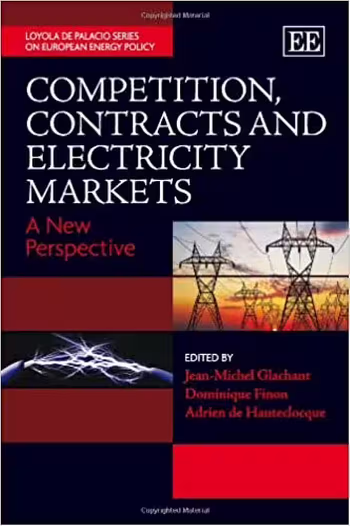 خرید و دانلود نسخه کامل کتاب Competition, Contracts and Electricity Markets: A New Perspective (Loyola de Palacio Series on European Energy Policy)[2011] - Original PDF