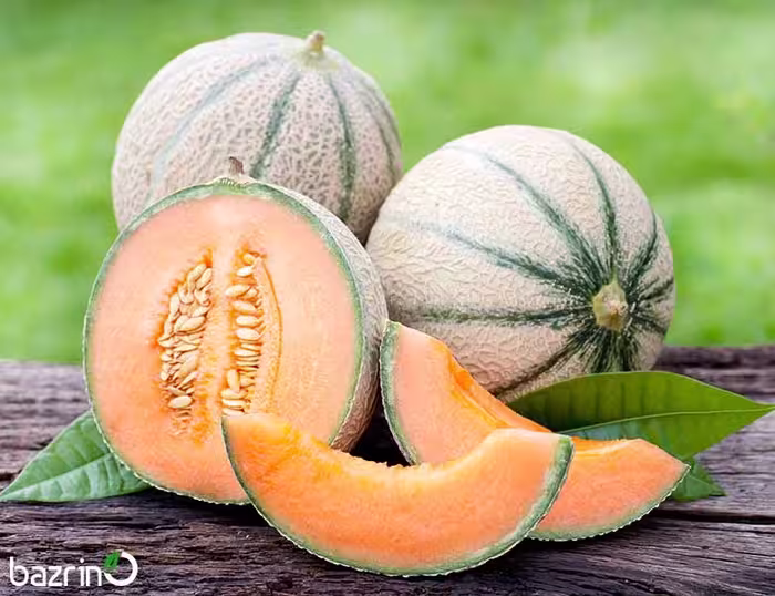بذر طالبی سمسوری زودرس