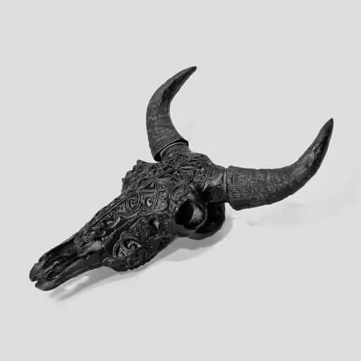 مجسمه اسکلتی دیوارکوب طرح راک مشکی کد Shah602