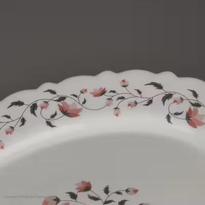 سرویس غذا خوری 25 پارچه آیروپال طرح کنگره مدل گلوریا