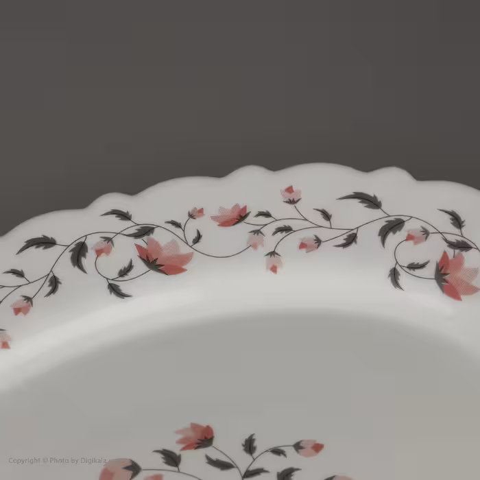 سرویس غذا خوری 25 پارچه آیروپال طرح کنگره مدل گلوریا