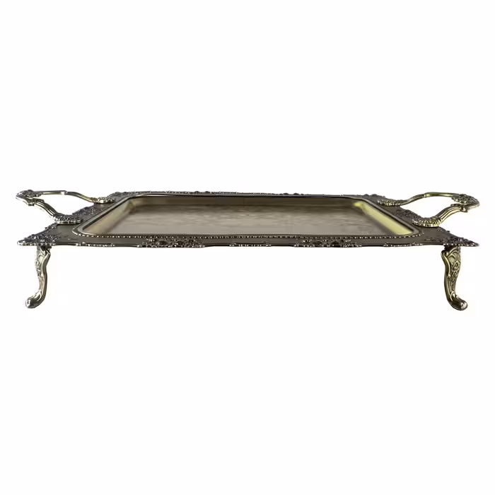 سینی پیتر پیوتر مدل مستطیل کد IG180XSEB