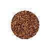 تشویقی عروس هلندی شهرپت مدل Mealworm وزن 100 گرم