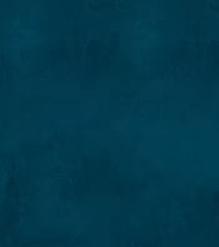 بک دراپ چاپی کد 590 (در 4 سایز)