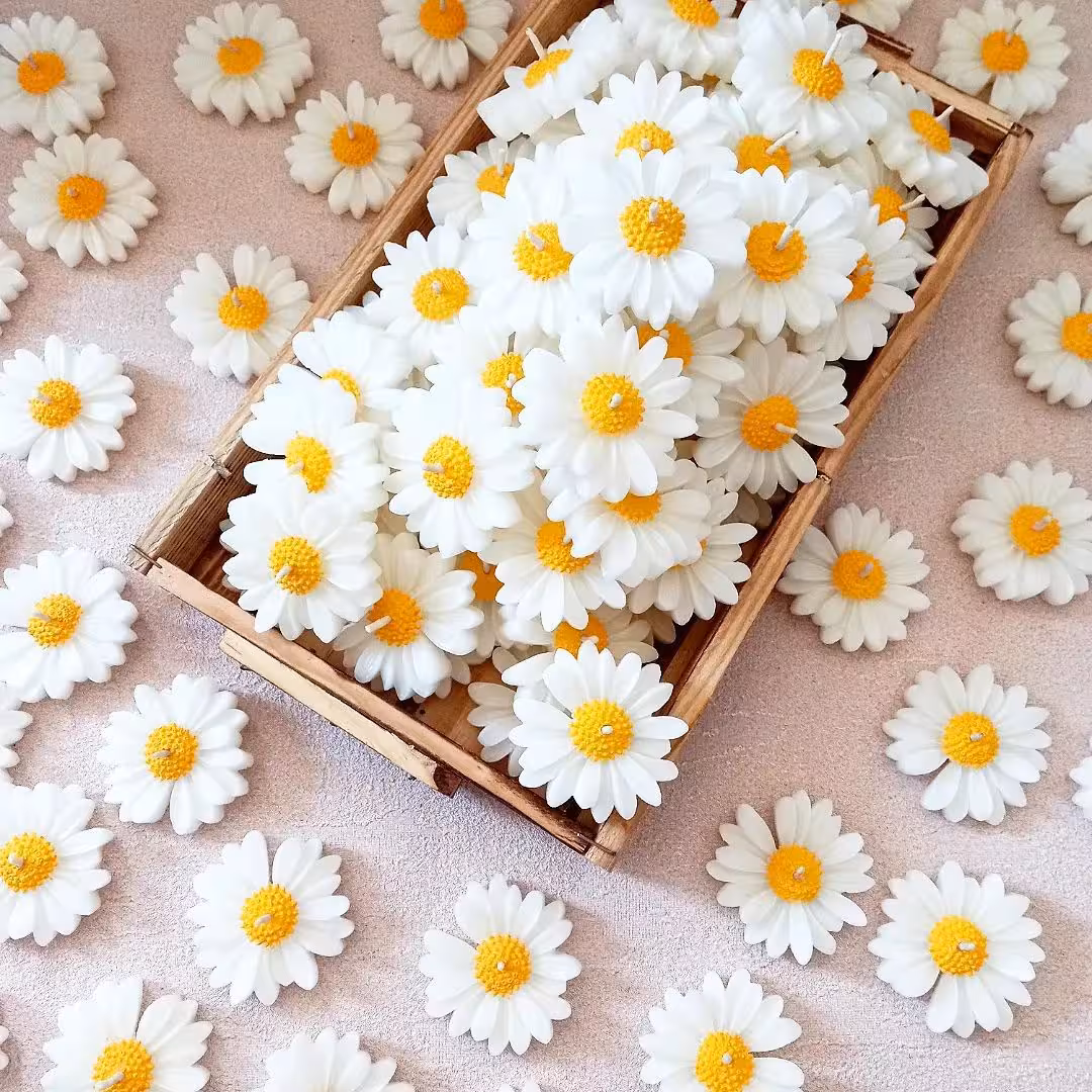 شمع مارگاریت عمده 