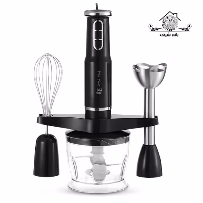 مخلوط کن راف R291