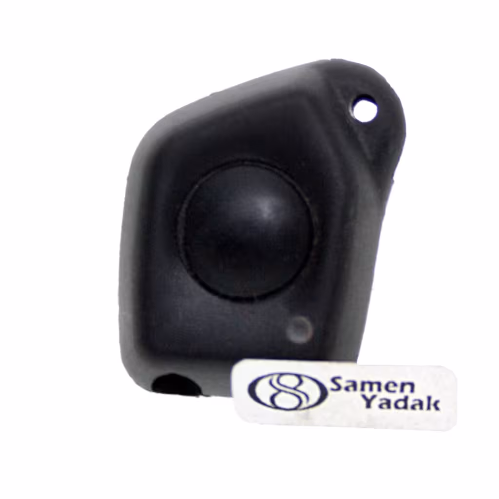 قاب ریموت تک کلید 405 قدیمی