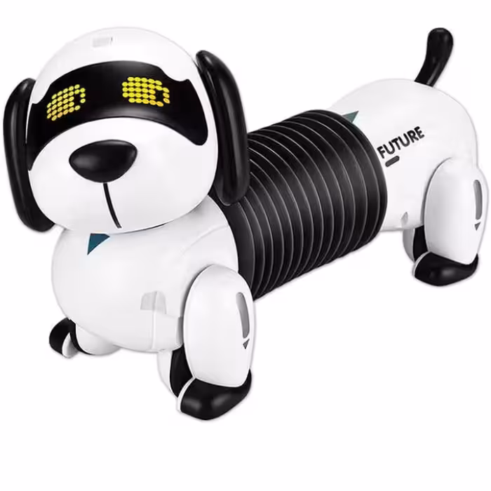ربات کنترلی سگ فنری