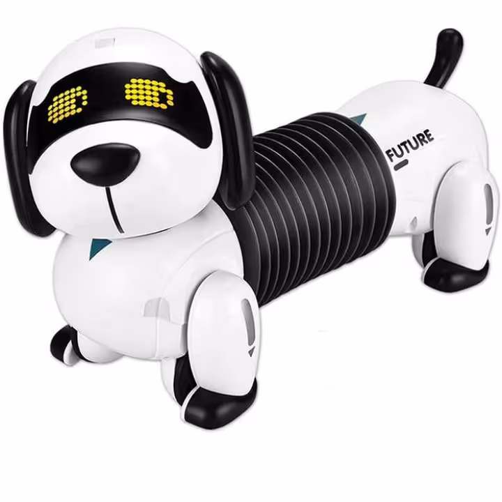 ربات کنترلی سگ فنری