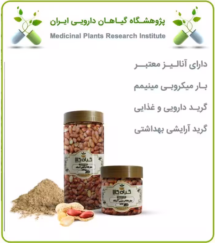 مغز بادام زمینی آستانه بوداده بسته بندی