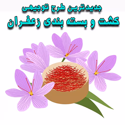 خرید و دانلود طرح توجیهی کشت و بسته بندی زعفران