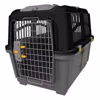 باکس حمل سگ سایز 6 رها