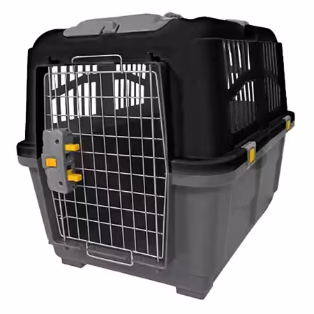 باکس حمل سگ سایز 6 رها