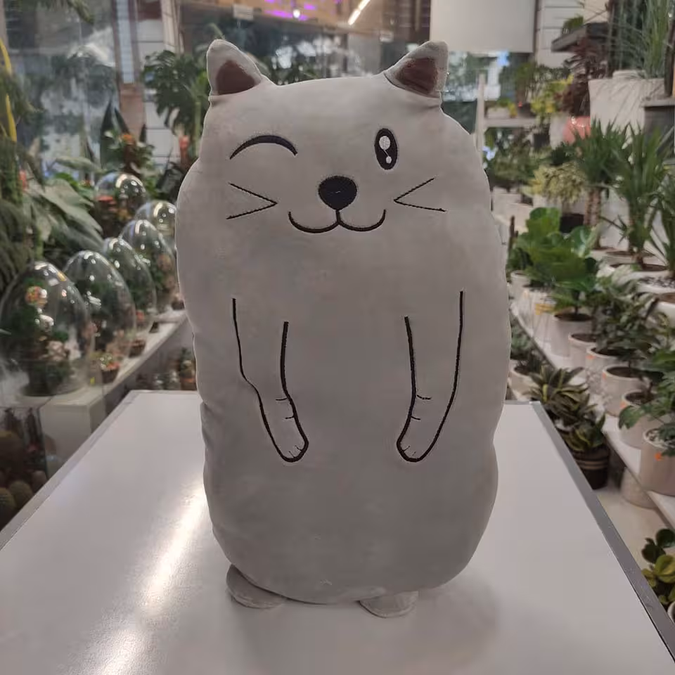 عروسک گربه چشمک زن در بندرعباس و هرمزگان