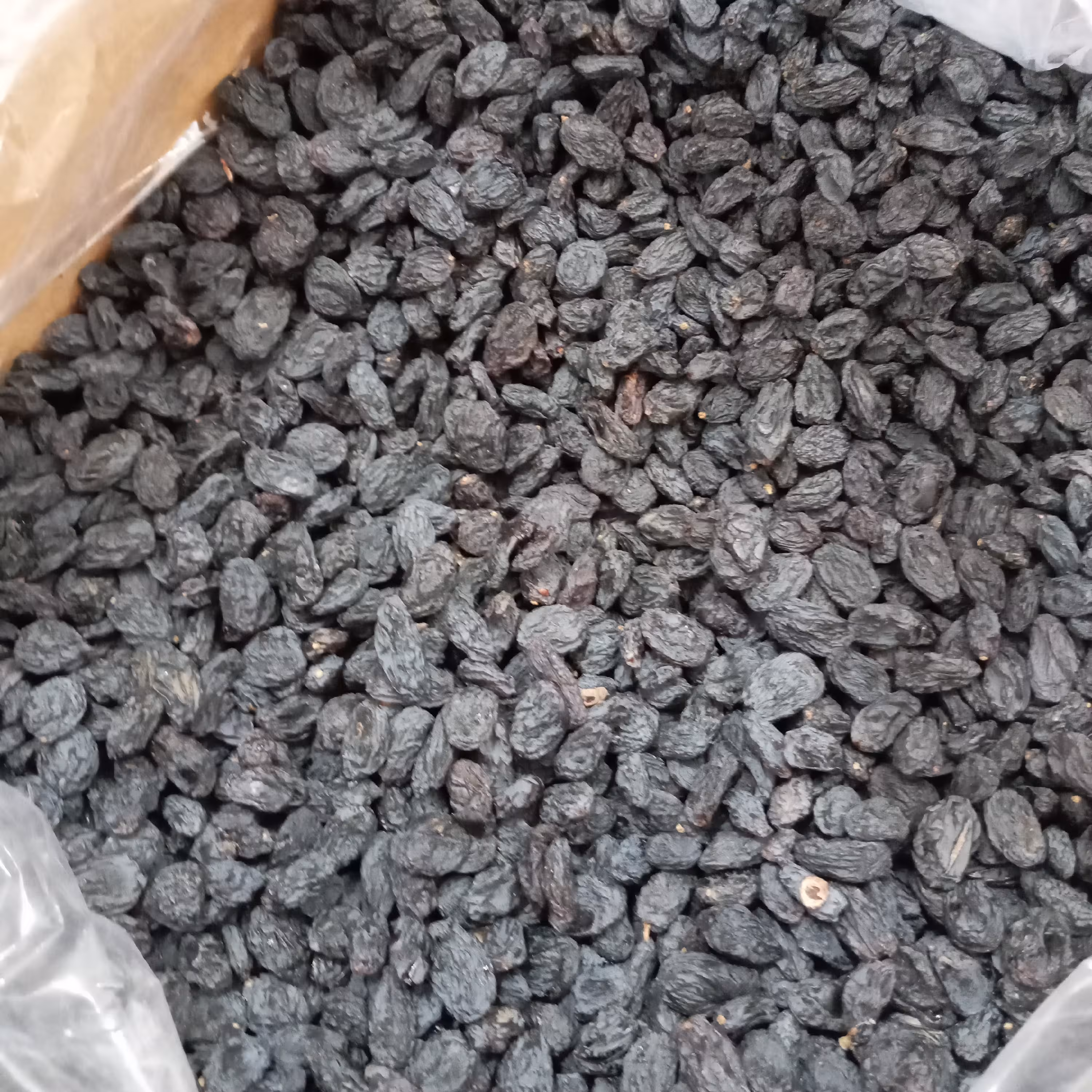 مویز بدون هسته اعلاء (کیلویی)