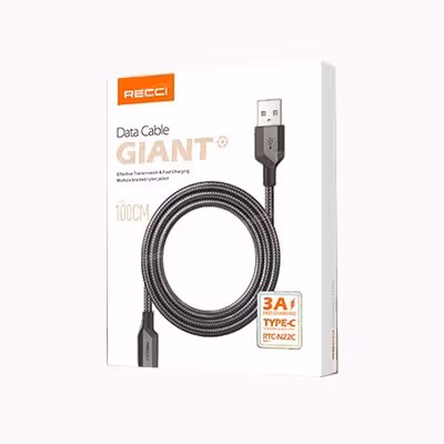 کابل تبدیل تایپ سی به لایتنینگ رسی مدل RTC-N22L