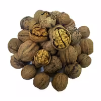 گردو ایرانی همدان خشکبار نقوی فله