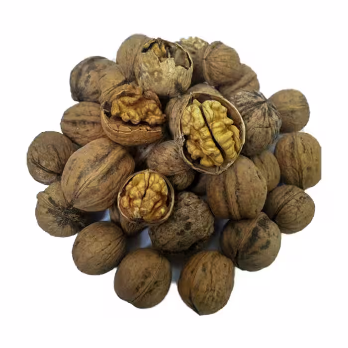 گردو ایرانی همدان خشکبار نقوی فله