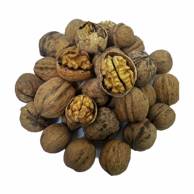 گردو ایرانی همدان خشکبار نقوی فله