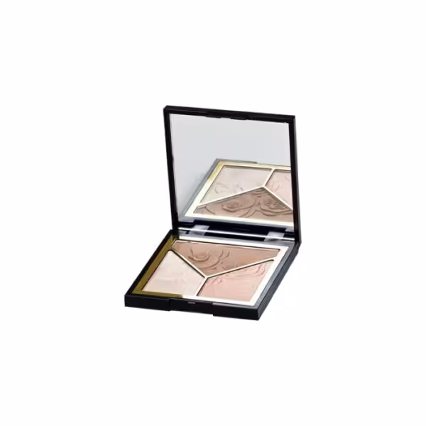 هایلایتر و رژگونه سه رنگ 1 اویوا