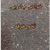 تخم خرفه 2 کیلویی (پس کرایه)
