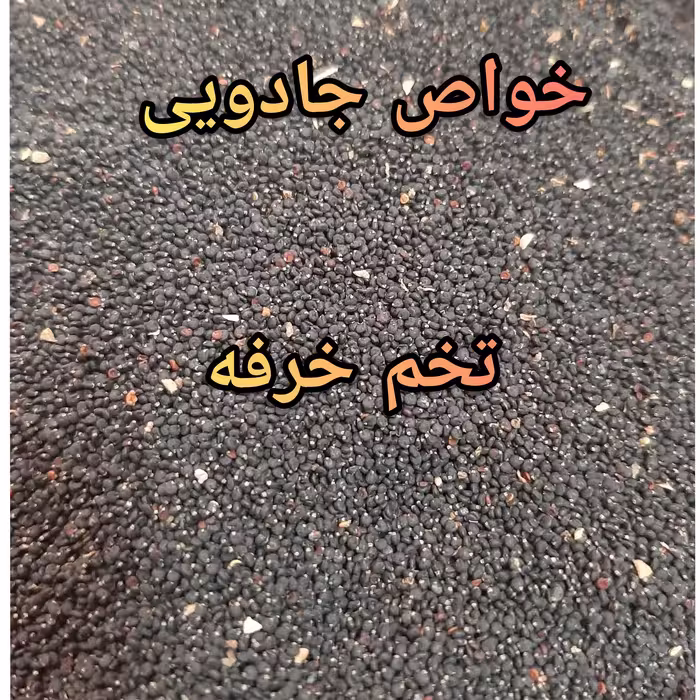 تخم خرفه 2 کیلویی (پس کرایه)